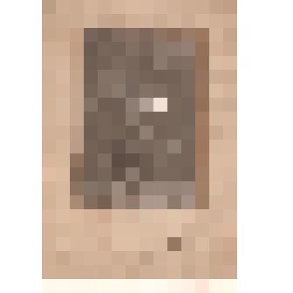 Фотография. Лидия Ивановна Захарова в концертном костюме танца «Время-деньги»