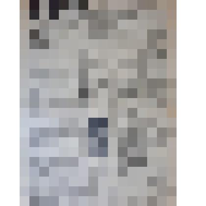 Газета "Адлерская правда"
№71 (2875) от 13.06.1958 г