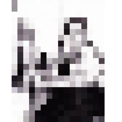 Фотопортрет. Волобуева Нина Николаевна - заведующая лабораторией  Красногвардейского элеватора