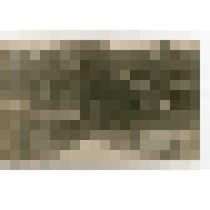 Фотография групповая. В.И. Ленин в группе делегатов II конгресса Коминтерна на площади Жертв революции