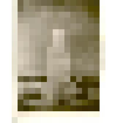 Фотография. Памятник красным партизанам в с.Велижанка Панкрушихинского района Алтайского края