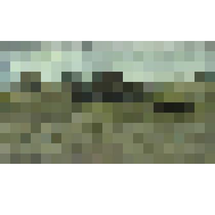 Картина. Рыбацкий поселок