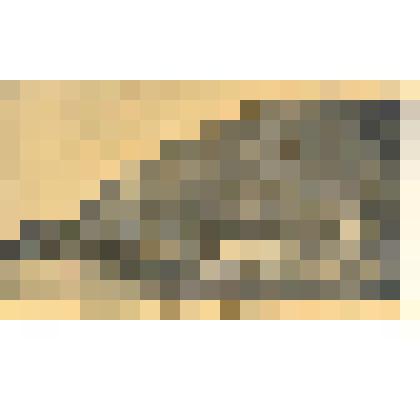 Кругобайкальская железная дорога. Малая падь "Барашики". Открытое письмо