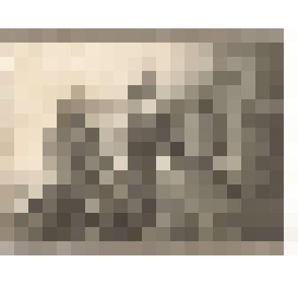 Фотография. Евсеев Н.Ф. (лежит слева) и Данилов И.А. (второй ряд, крайний справа ) с боевыми товарищами после боя за Тобольск