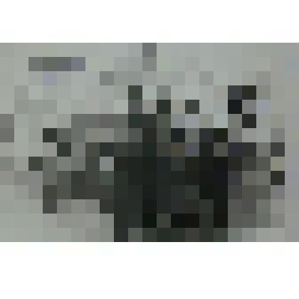 Фотография. Участники демонстрации  1-го  Мая 1979г