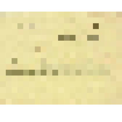 Бланк расписки чердынскому купца Н.П.Алина, г. Чердынь