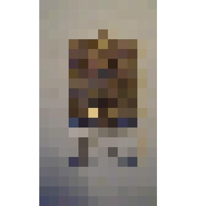 Жетон с изображением Л.Н.Толстого