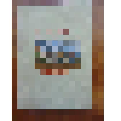 Книга. Дневник В.С. Аксаковой. М., 2004,191 стр