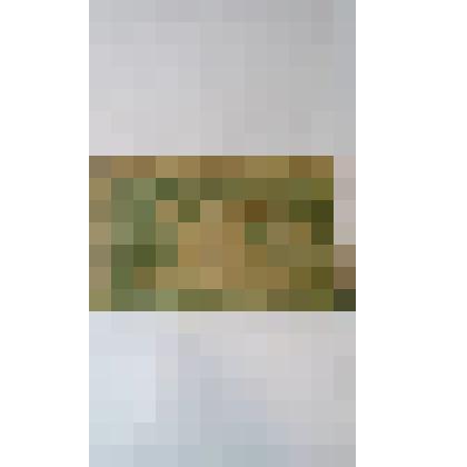 Государственный денежный знак "5 рублей"