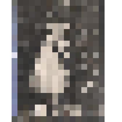 Фотооткрытка