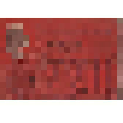 Мандат № 2593 Приймакова И.А