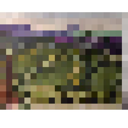 Акварельный рисунок.Этюд