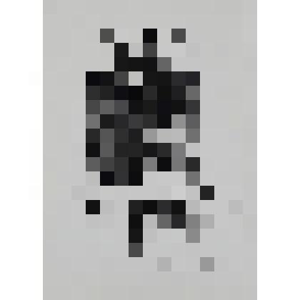 Экслибрис Александра Шпирко