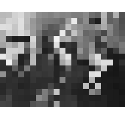 Фотография. Коммунисты Кубани на 26 съезде КПСС.  На фото участники съезда