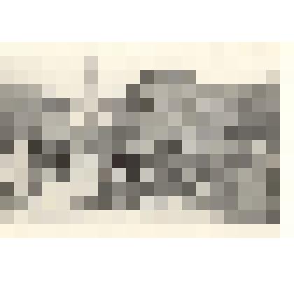 Фотография: Молодежный фестиваль в г.Камень-на-Оби. Участники мотопробега в честь 50-летия Ленинского комсомола