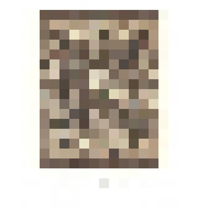 EX LIBRIS “DR 75. DRUK EN PAPIR”.1993