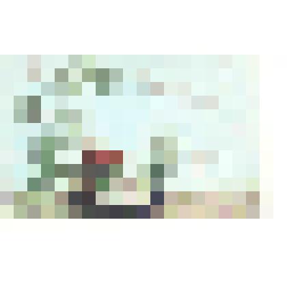 Открытка поздравиетльная. Композиция А. Елениной. Фото М. Мезенцева. "С Новым годом!", 1974 г