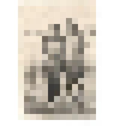 Ф/чб. Резниченко Геннадий Павлович (слева) с однокурсником - курсанты Армавирского высшего военного училища. 1953-1954