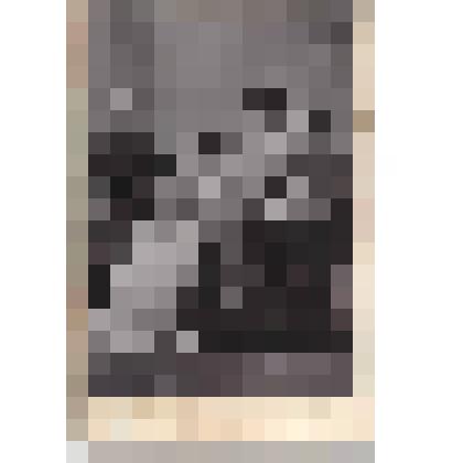 Ф/чб/п. Семейный портрет с детьми (поволжские немцы, родственники Дизендорф?). Фот. П. Павлов. Москва. Нач. ХХ в