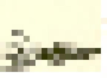 Фотография: колонна Каменского училища механизации на демонстрации 7 ноября 1957 года