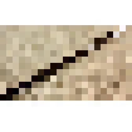 Карандаш графитный чертежный «Mеphisto» Миловидова Бориса Васильевича, саратовского художника-графика, из коллекции документальных, фотографических и вещевых материалов о Миловидовой Инне Борисовне (1929-2009), кандидате биологических наук, преподавателе