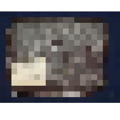 Портфель Расторгуева Ф.Ф