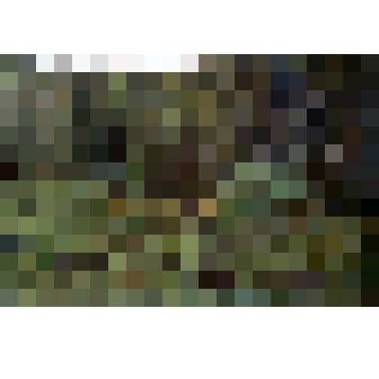 Картина. Серый день