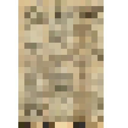 Газета. "Авиационная газета" № 26