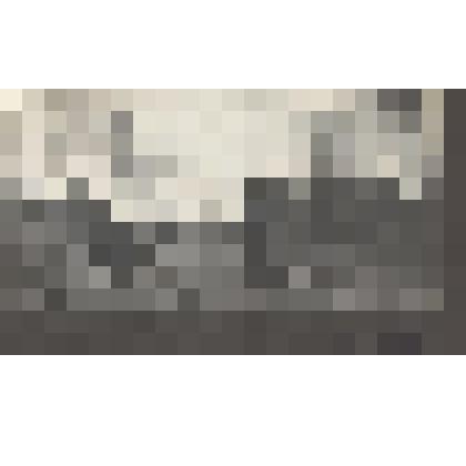 Л.Н.Толстой и А.Б.Гольденвейзер около дома в открытом экипаже, запряженном парой лошадей