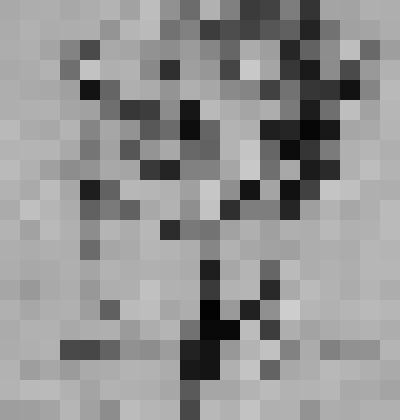 Рисунок. "Портрет юноши"