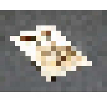 Карта. из колоды для игры в преферанс и вист