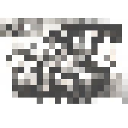 Фотография воспитанников детского сада на соревнованиях "Фотография"