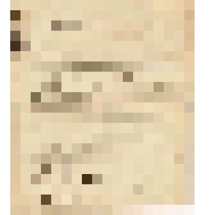 Телеграмма в Чердынь В.О.Алину от Анны Каневой из Ижмы, 23.05.1904 г