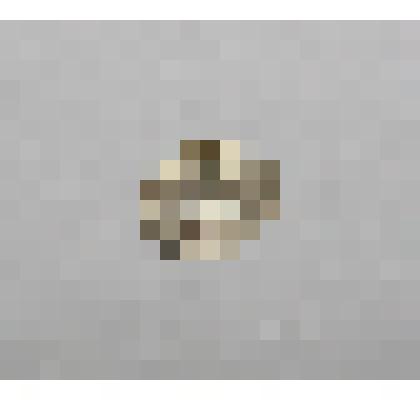 Монета (чешуйка) XV - XVI в.в