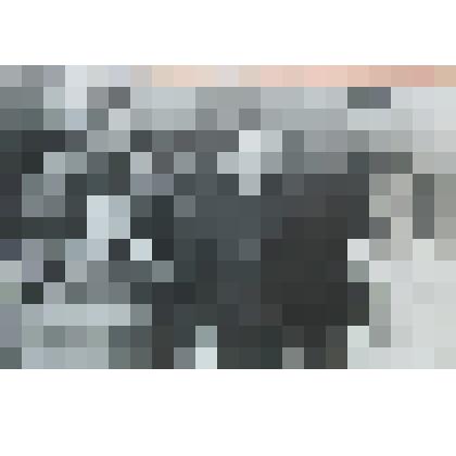 Фотография. Козловы и Пациба