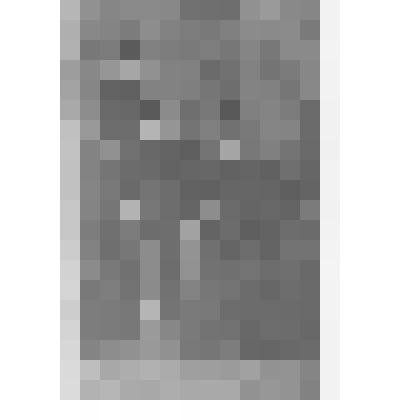 Фотография. Учащиеся Новоузенского реального училища. Стоит слева Свободин Н.К