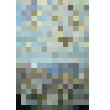 Этюд. Март. Грачи прилетели