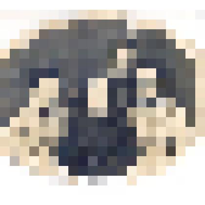 Фотография "Группа доваторцев"