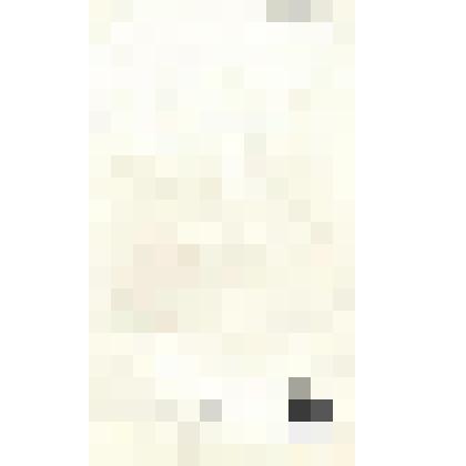 Гравюра. С работы Жерара