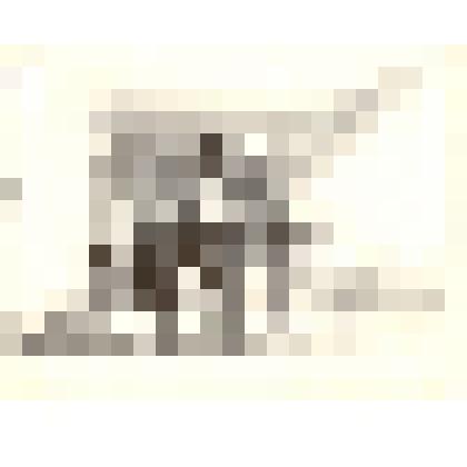 Фотография: районное совещание колхозников. Вынос красного знамени