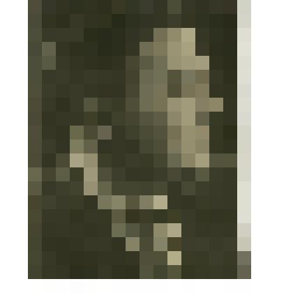 Фотооткрытка. Утесов Леонид Осипович (1895-1982), советский эстрадный артист - певец,  руководитель оркестра; киноактёр. Народный артист СССР