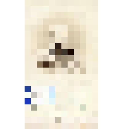 Фотография черно-белая. Касин Оскар Карлович