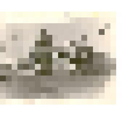 Фотография: городская елка у Дома культуры по улице Первомайской г.Камень-на-Оби Алтайского края