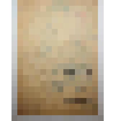 Книга. Паровая обработка и посев озими.  Сельхозгиз