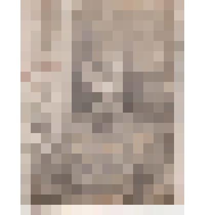 Фотография. Ворошилов Алексей Васильевич-участник советско-финской войны. Пятовский с/с