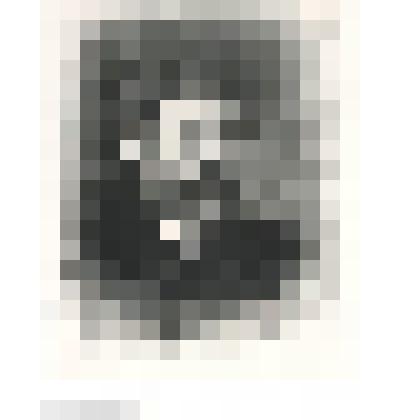 Портрет скульптора М.М. Антокольского. 1903. По живописному оригиналу И.Н.Крамского (1876)