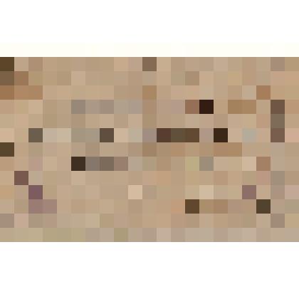 Экслибрис Чернышева, Феодосия Николаевича, академика