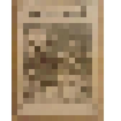 Книга. Свешникова Е. Франциск Ассизский [Text] / Рисунки А. Кившенко / Издательство в книге не указано. - М. : Издательство "Посредник" (№ 11), 1890 (Товарищество И.Д.Сытина)