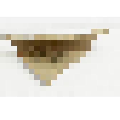 Фрагмент хорошо профилированного кругового сосуда (часть венчика и плечика тулова)