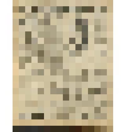 Газета. "Красный кавалерист" № 270